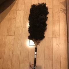 オーストリッチ　毛叩きの画像