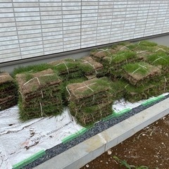 芝生　全部持っていってくれる方希望