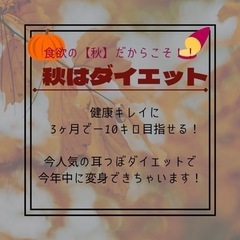 今人気の健康耳つぼダイエット！！予約受付中！！