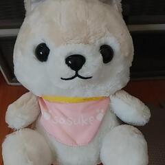 豆柴のぬいぐるみ