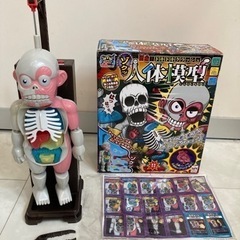 人体模型　恐怖ドキドキクラッシュ