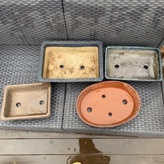 盆栽鉢　植木鉢　大中小セットおまけ付き