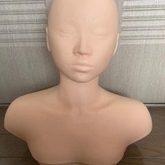 デコルテ エステ人形 フェイシャルマネキン