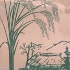 減農薬玄米20kg②広島産