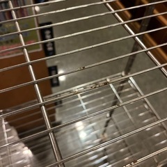 シルバーラック④の画像