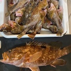 これから釣りに行きます。