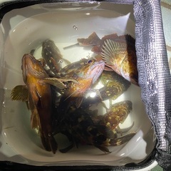 これから釣りに行きます。 - 広島市