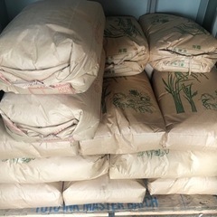 令和3年度産 コシヒカリ30kg 