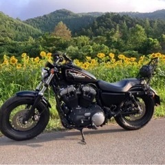 ハーレースポーツスター　マフラー交換