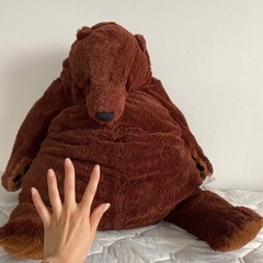 クマぬいぐるみ　引き取り出来る方の画像