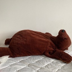 クマぬいぐるみ　引き取り出来る方の画像