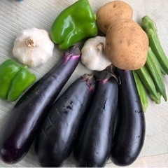 茨城県産　野菜詰め合わせ　大盛り　無農薬
