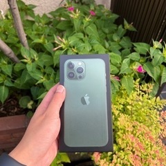 Iphone 13 Pro Max 128Gb