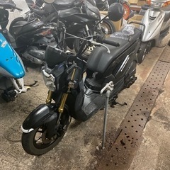 ホンダ　ズーマーＸ