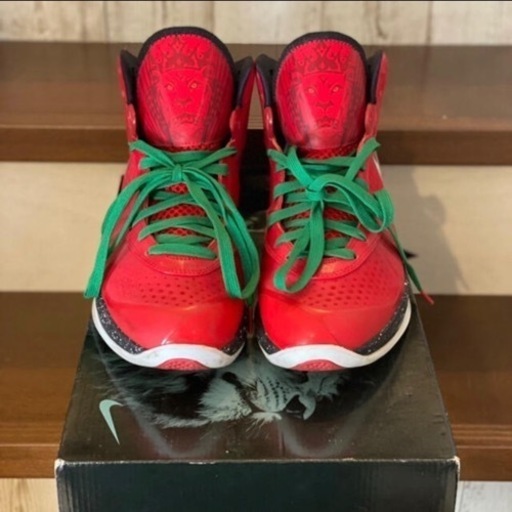 NIKE レブロン8 V/2