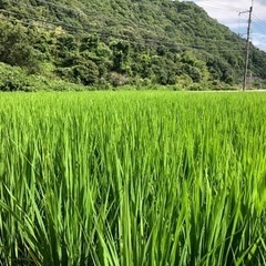 岡山県井原市　移住定住相談窓口　ブルブルカフェ