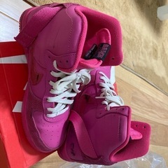 NIKEハイカット25センチの画像