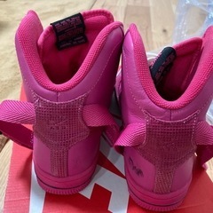 NIKEハイカット25センチの画像