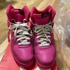 NIKEハイカット25センチ