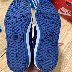 バンズハイカット25センチの画像