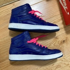 バンズハイカット25センチの画像