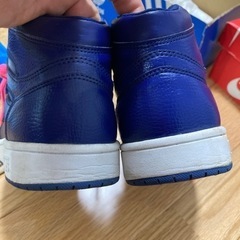 バンズハイカット25センチの画像