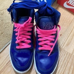 バンズハイカット25センチ