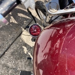 ビラーゴ250 3DMの画像