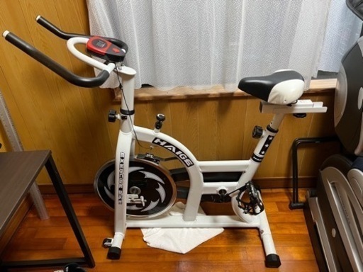※値下げ　ハイガースピンバイク