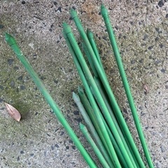 【決まりました】トンネル支柱 20本 農業 園芸 タキロン の画像