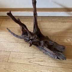【煮沸済み】流木　アクアリウム1の画像