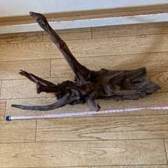 【煮沸済み】流木　アクアリウム1の画像
