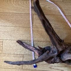 【煮沸済み】流木　アクアリウム1の画像