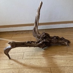 【煮沸済み】流木　アクアリウム2の画像