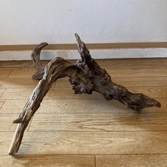 【煮沸済み】流木　アクアリウム2