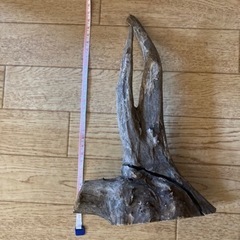 【煮沸済み】流木　アクアリウム3の画像