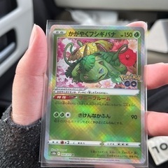 かがやくフシギバナ波線エラー