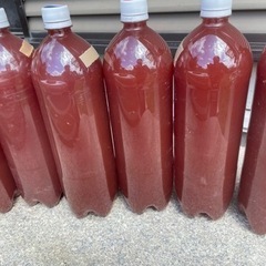 PSB 1500ml