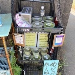 9月4日 めだか無人販売