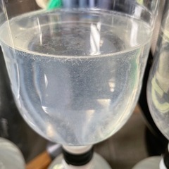 ゾウリムシ1.5リットルの画像