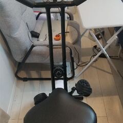 【至急】【引っ越し】エアロバイクの画像