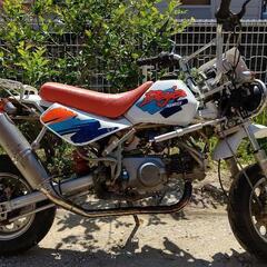 希少種！モンキーBAJA　88ccにボアアップ　