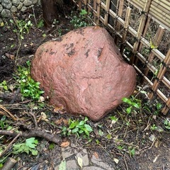庭石