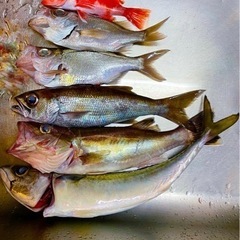 【締切ます！釣り初心者】東京・神奈川で気軽に船釣りできる友達募集！🎣 − 東京都