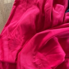 コスプレ　インクレディブルの画像