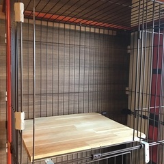 キャットゲージ３段　猫の画像