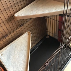 キャットゲージ３段　猫の画像