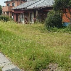 愛知岡崎市拠点の総合造園業『草刈り専門部』／信頼と実績、技術と真心で責任施工 - 剪定/造園