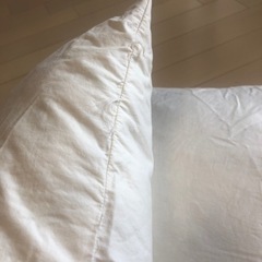 差し上げます　IKEA クッション　2個セット　羽毛100%の画像