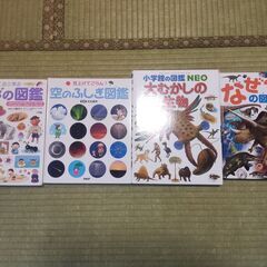 図鑑　４つセット